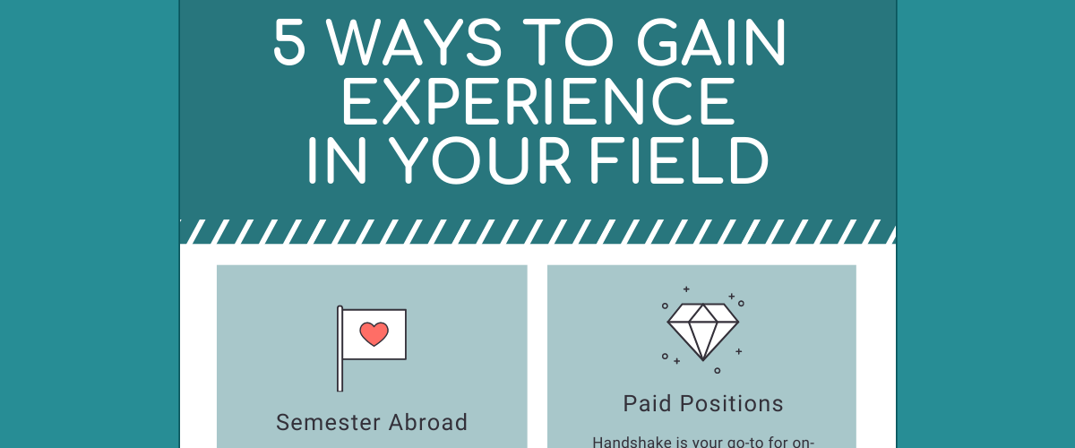 Experience in your field handout preview