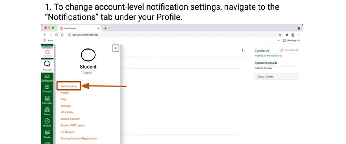 How to change email/push alerts in Canvas guide preview